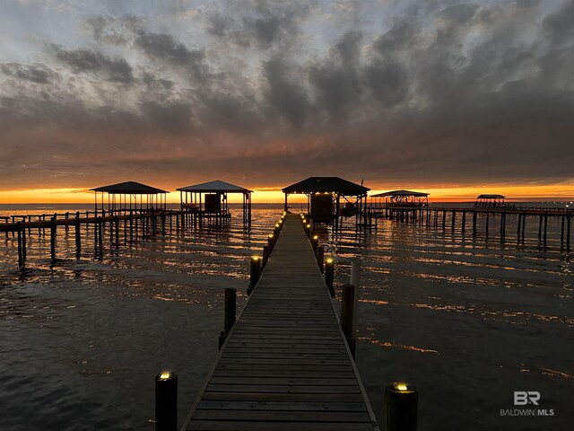 dock area with a water view