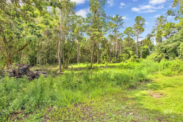 0 Fernwood Cir, Foley, AL 36535