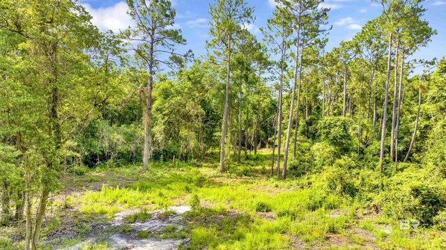 0 Fernwood Cir, Foley, AL 36535