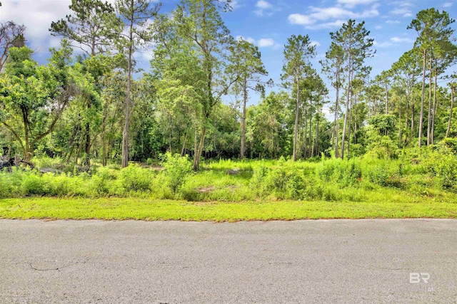 0 Fernwood Cir, Foley, AL 36535