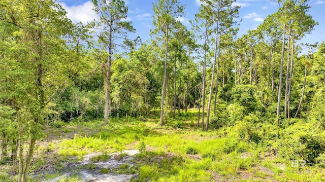 0 Fernwood Cir, Foley, AL 36535