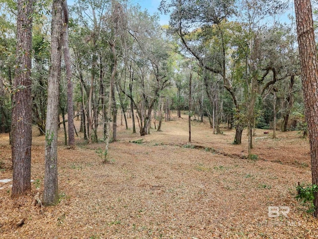 00 Park Dr, Daphne AL, 36526 land for sale