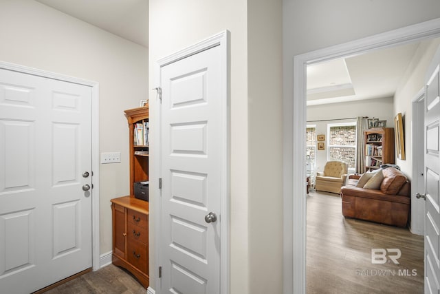 hall featuring hardwood / wood-style flooring and a raised ceiling