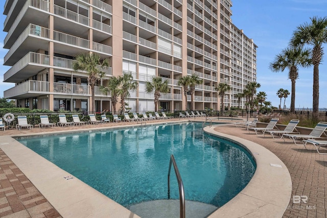 view of pool featuring a patio