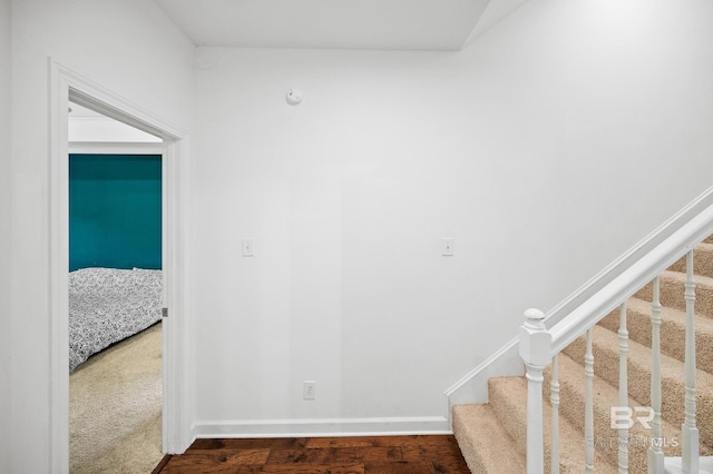 staircase featuring carpet