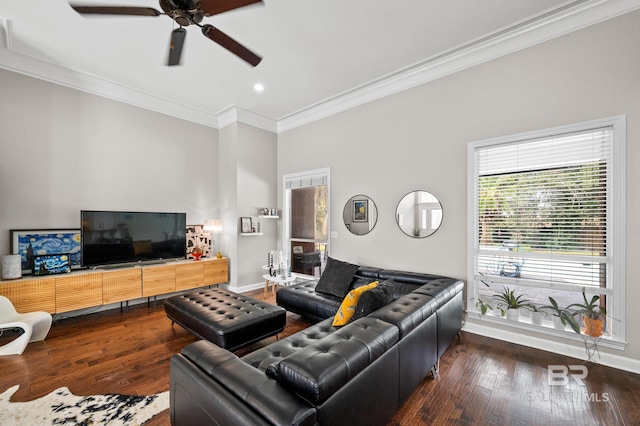 living room featuring dark wood-type flooring, ornamental molding, and ceiling fan