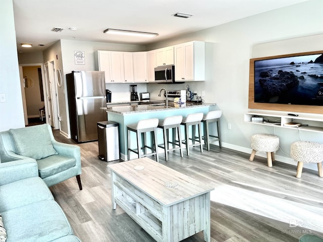 living room with light hardwood / wood-style floors and sink