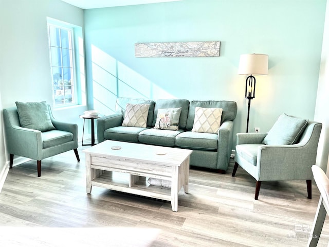 living room with hardwood / wood-style floors