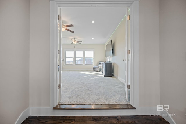 hallway with carpet flooring