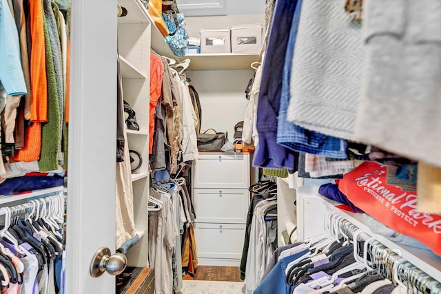 26506 Big Grant Way, Robertsdale, AL 36567 - spacious closet with attic access and wood finished floors