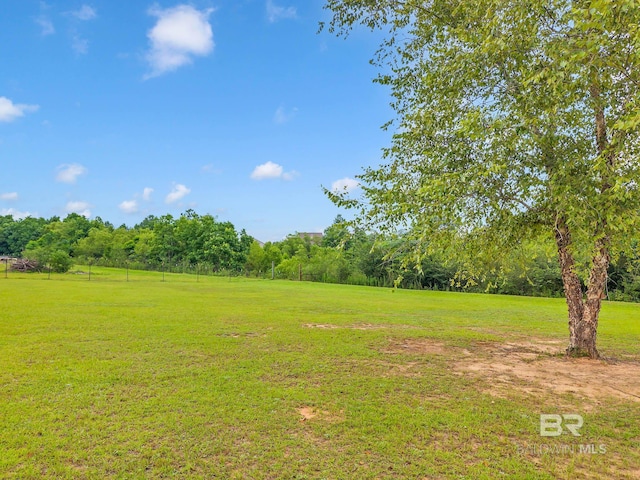 26506 Big Grant Way, Robertsdale, AL 36567 - view of grassy yard