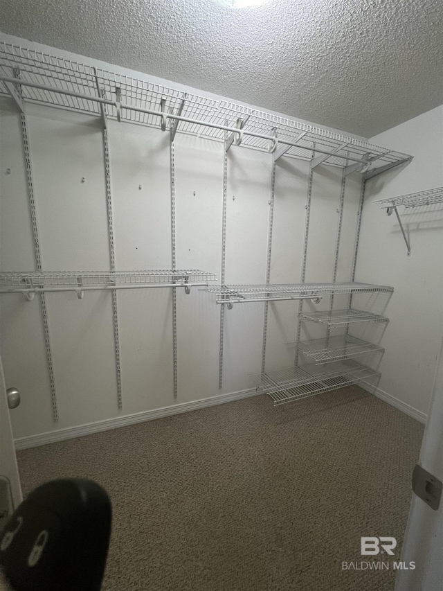 spacious closet with carpet flooring