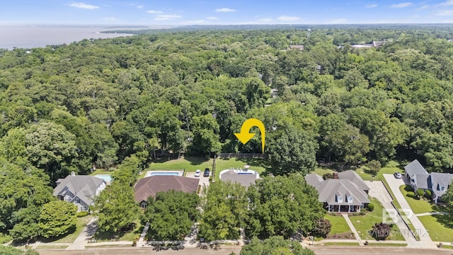 402 Potters Mill Ave, Daphne, AL 36526 - bird's eye view of a forest