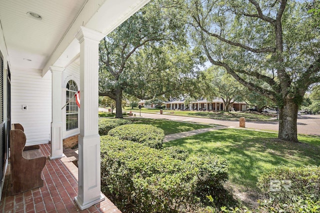 402 Potters Mill Ave, Daphne, AL 36526 - view of grassy yard
