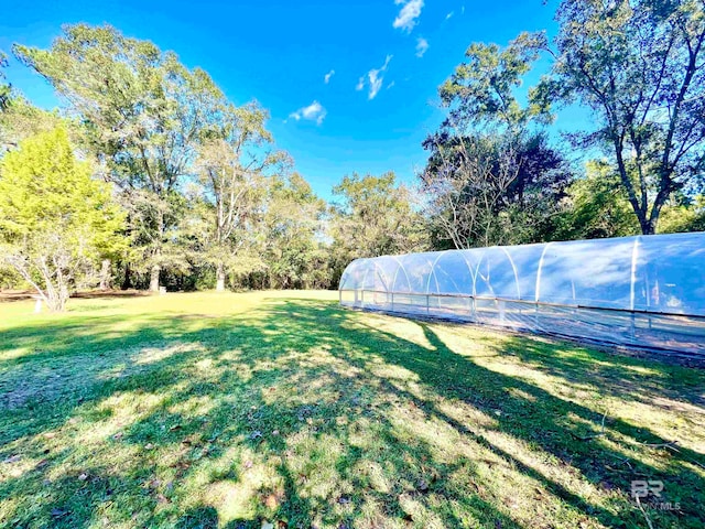 view of yard featuring an outdoor structure