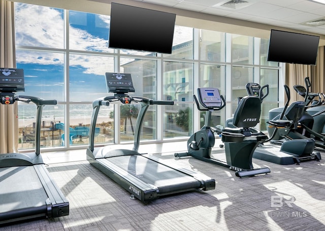 exercise room featuring carpet, visible vents, floor to ceiling windows, and a wealth of natural light