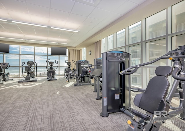 gym with carpet floors, floor to ceiling windows, and a drop ceiling
