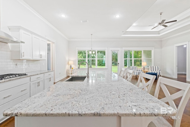 kitchen with ornamental molding, a large island with sink, dark hardwood / wood-style flooring, sink, and stainless steel gas stovetop