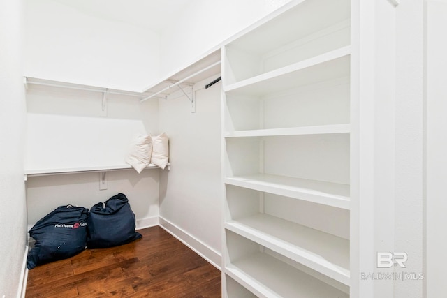 360 Nandina Loop, Fairhope, AL 36532 - spacious closet featuring wood finished floors