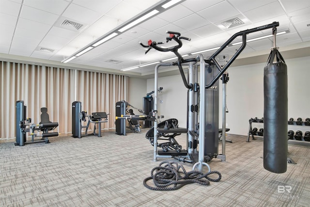 workout area featuring a drop ceiling and carpet flooring