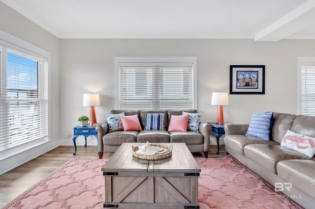 living area featuring light wood-type flooring and ornamental molding