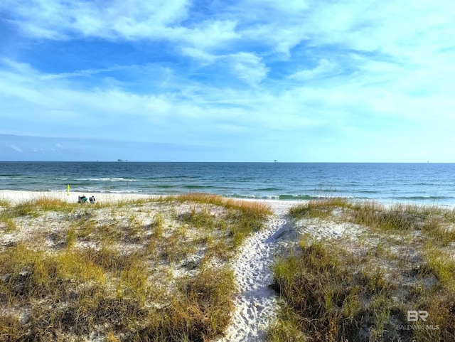 property view of water with a beach view