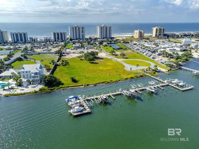 bird's eye view with a water view