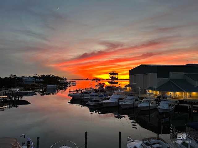 property view of water with a dock