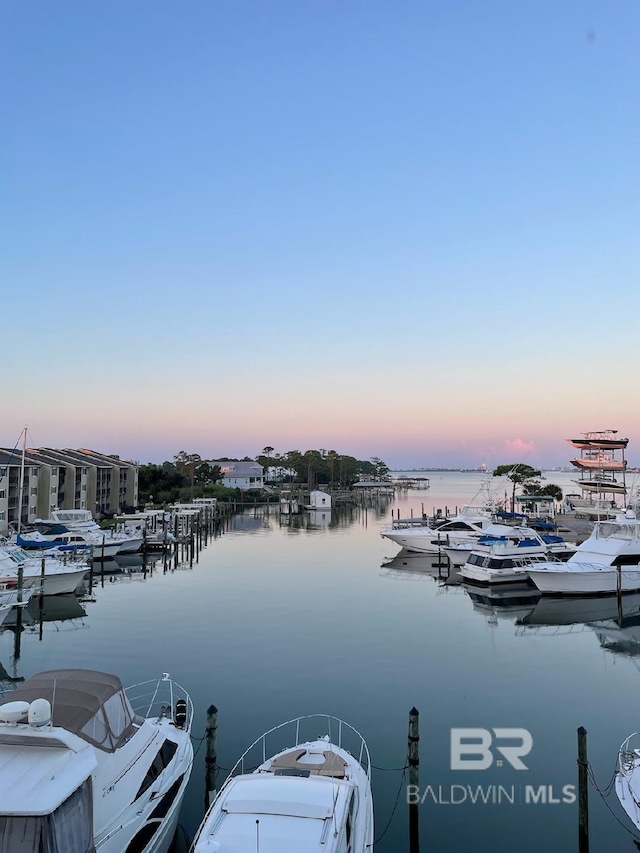 dock area featuring a water view