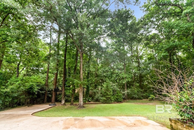 1509 Ridgeland Rd, Mobile, AL 36695 - view of grassy yard