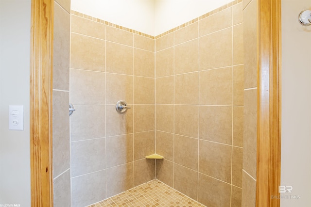 13897 Fish River Acres Cir, Foley, AL 36535 - bathroom featuring tiled shower