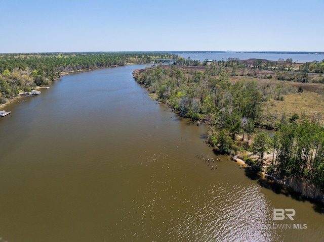 13897 Fish River Acres Cir, Foley, AL 36535 - aerial view of a nearby body of water
