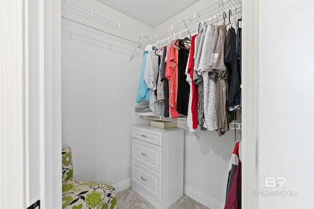 spacious closet featuring carpet