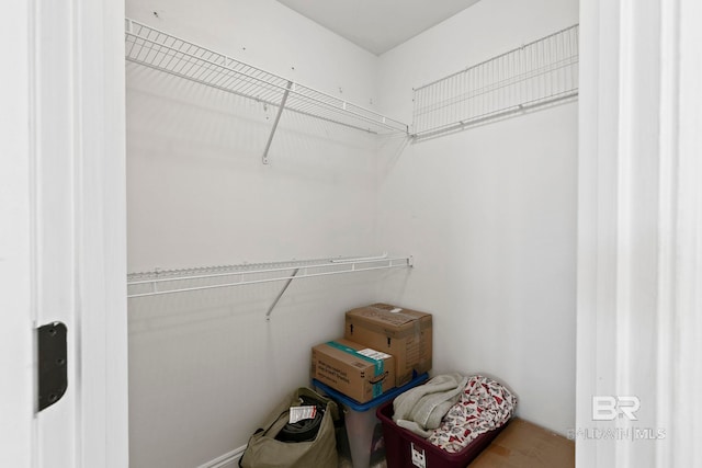 view of walk in closet