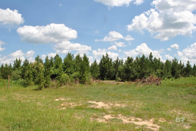 Listing photo 2 for 0 Linholm Rd, Robertsdale AL 36567