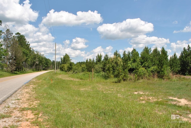 Listing photo 3 for 0 Linholm Rd, Robertsdale AL 36567