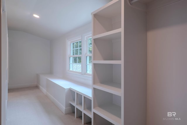 spacious closet featuring light colored carpet