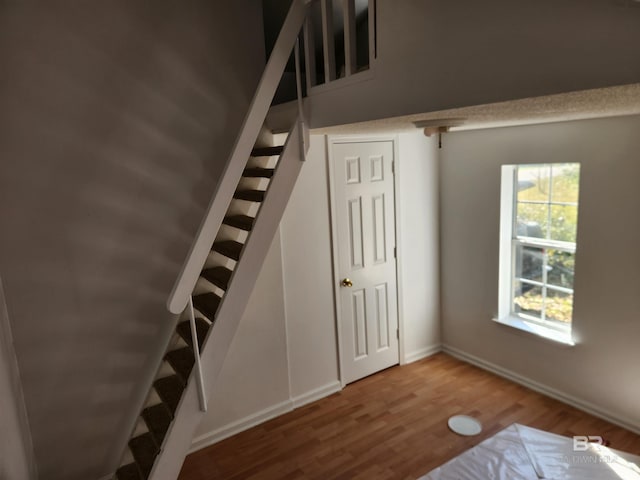 staircase with hardwood / wood-style flooring