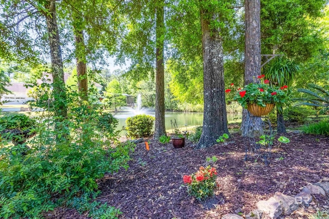 view of yard featuring a water view