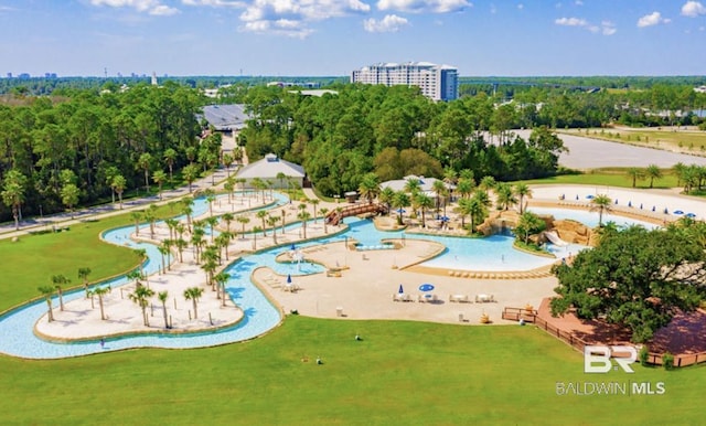 bird's eye view