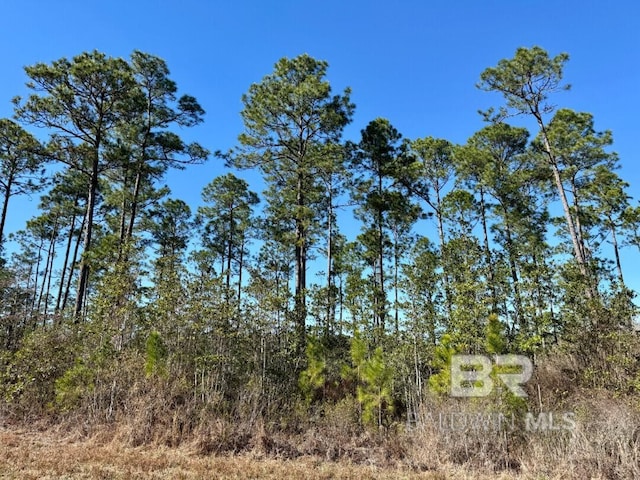 Robert White Rd, Bay Minette AL, 36507 land for sale