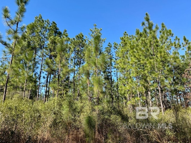 Listing photo 2 for Robert White Rd, Bay Minette AL 36507