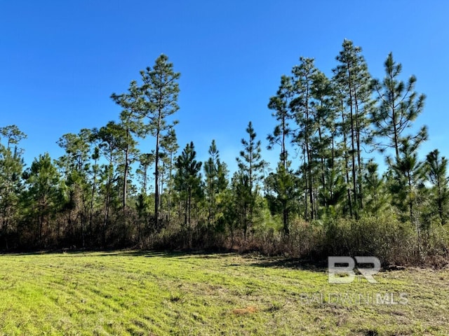 Listing photo 3 for Robert White Rd, Bay Minette AL 36507