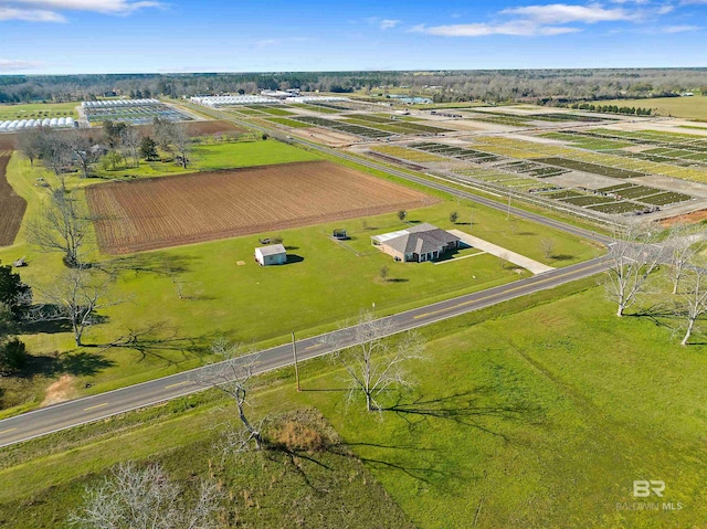 17570 Driskell Rd, Loxley, AL 36551 - view of rural area featuring abundant farmland