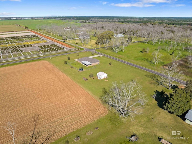 17570 Driskell Rd, Loxley, AL 36551 - view of rural area with large plots for crops