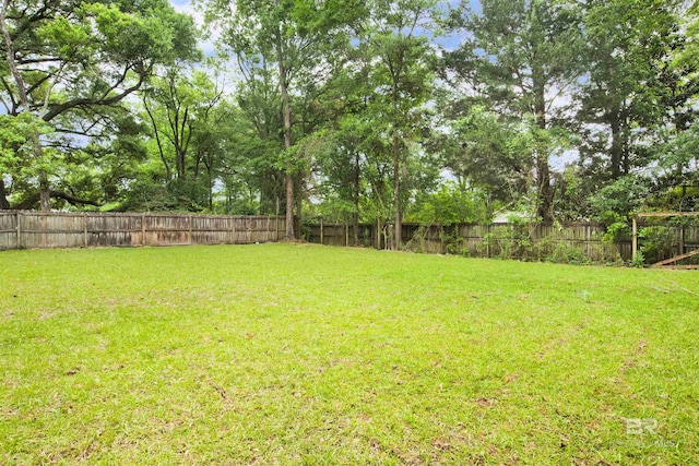 view of yard