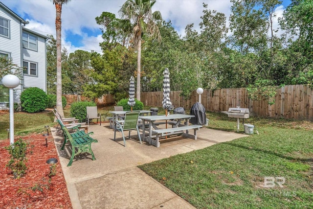 view of yard with a patio area