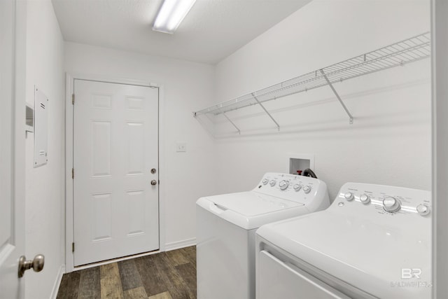 washroom with dark wood-type flooring, laundry area, and washing machine and clothes dryer