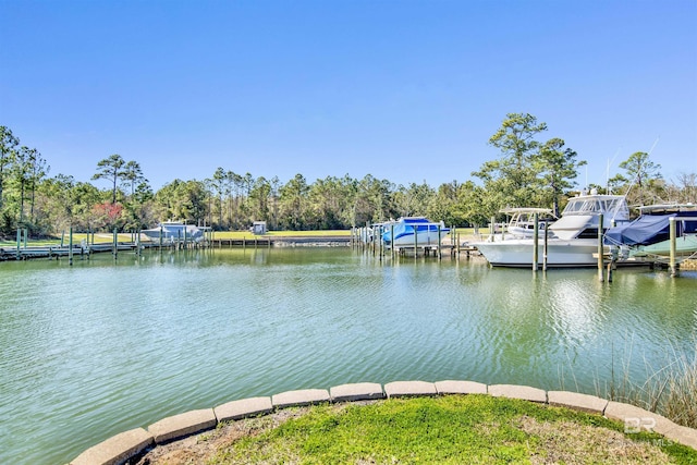 view of dock with a water view