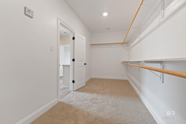 spacious closet featuring carpet floors